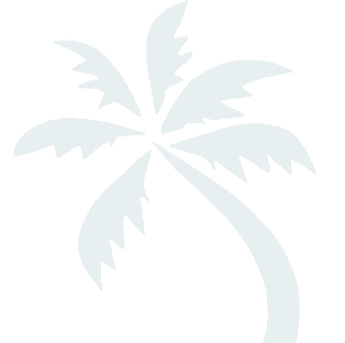 Palm Tree Background
